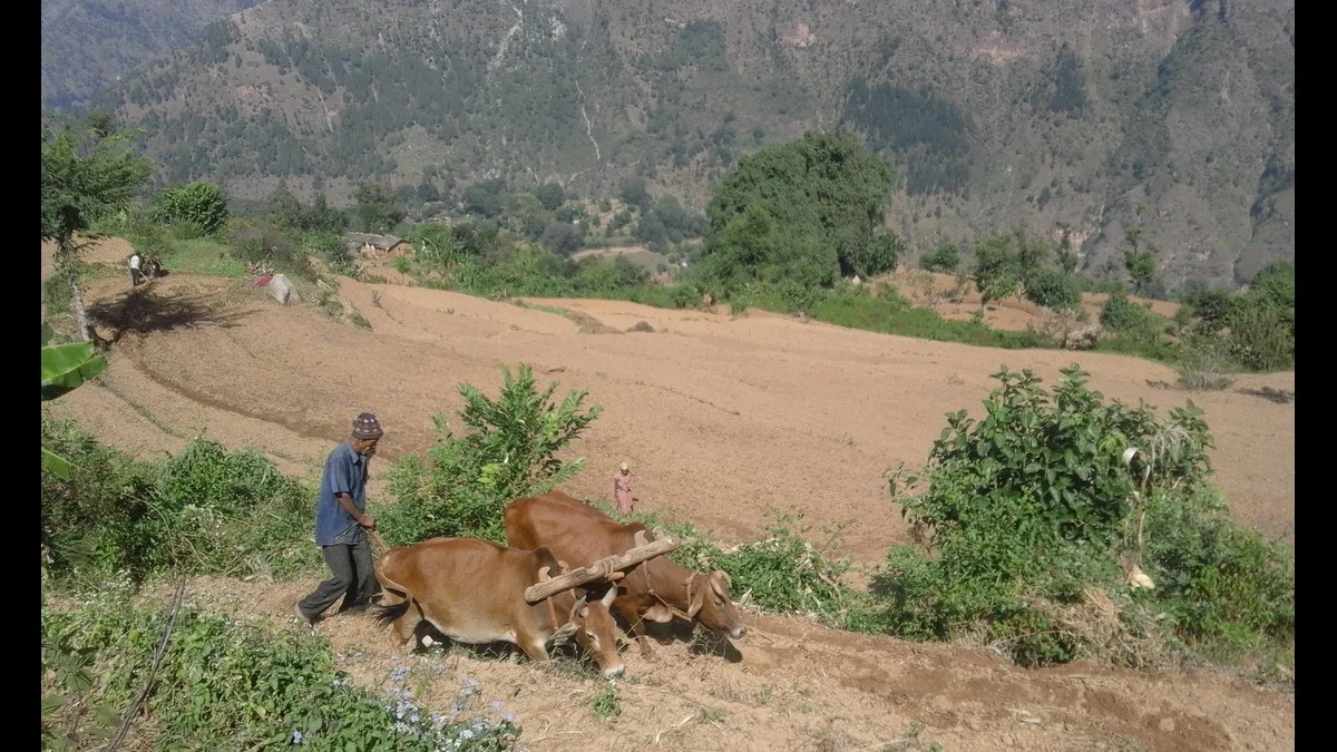 प्रधानमंत्री धन-धान्य कृषि योजना